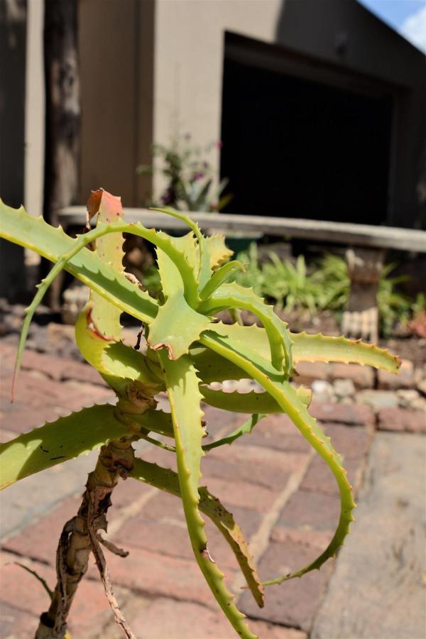 Pta East Guest House Pretoria-Noord Exterior foto